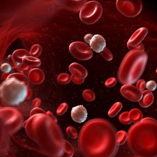 Limpieza Profunda de Órganos y Tejidos