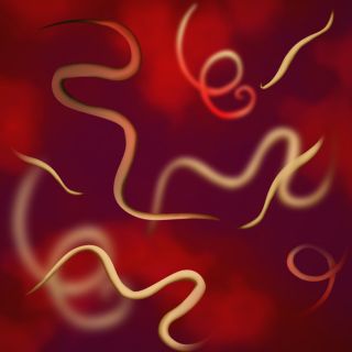 Eliminación Efectiva de Parásitos