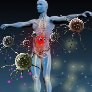 Refuerzo de la Inmunidad