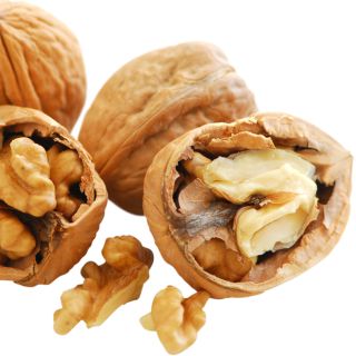 Cáscara de Nuez (Peperomia caperata)